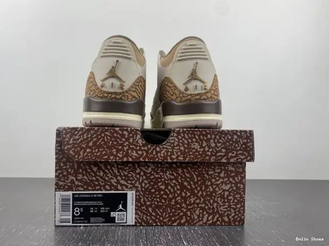 Bmlin Shoes CT8532-102 Palomino Jordan Air 3 0615